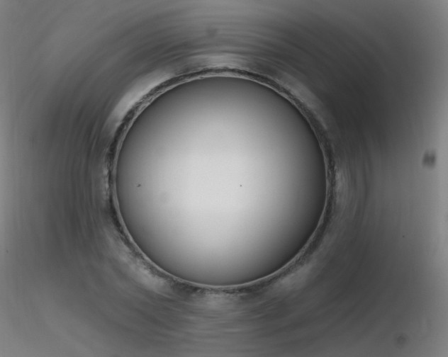 X0000116830782200912181433
