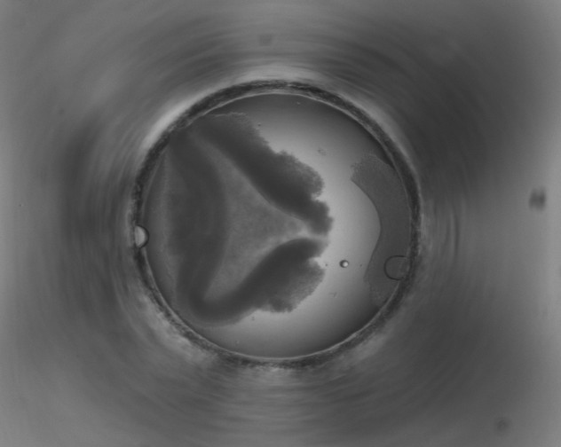 X0000116830783200912181433