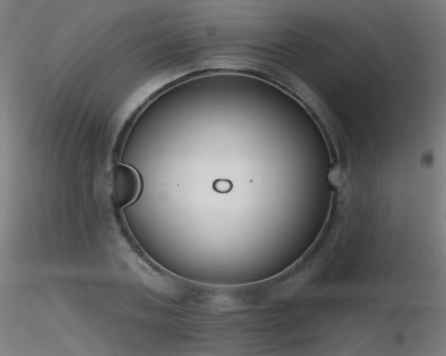 X0000116830787200912181433