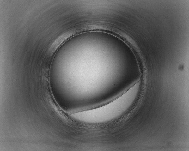 X0000116830793200912181433