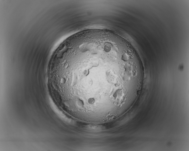 X0000116830795200912181433