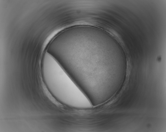 X0000116830796200912181433