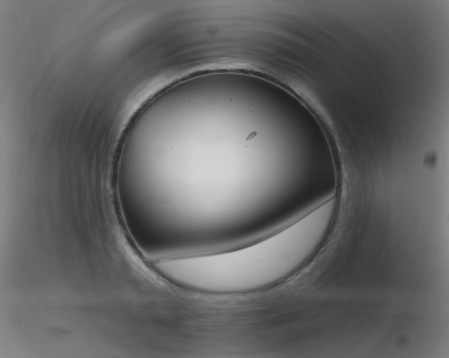 X0000116830797200912181433