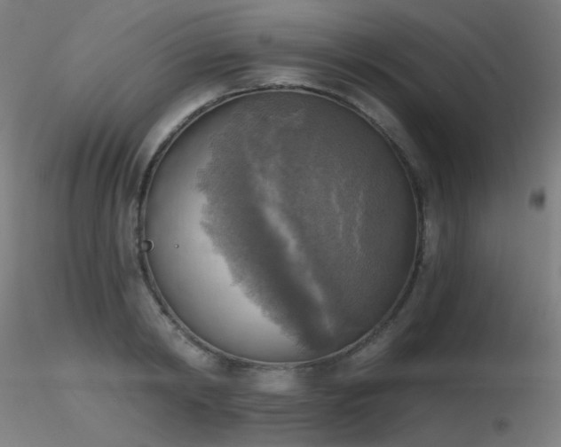 X0000116830798200912181433
