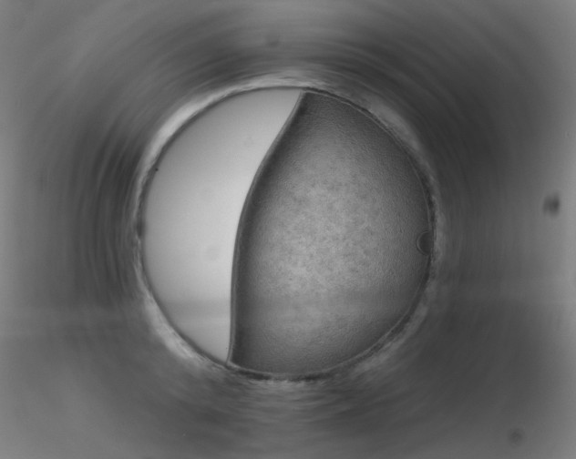 X0000116830800200912181433