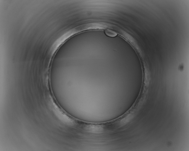 X0000116830802200912181433