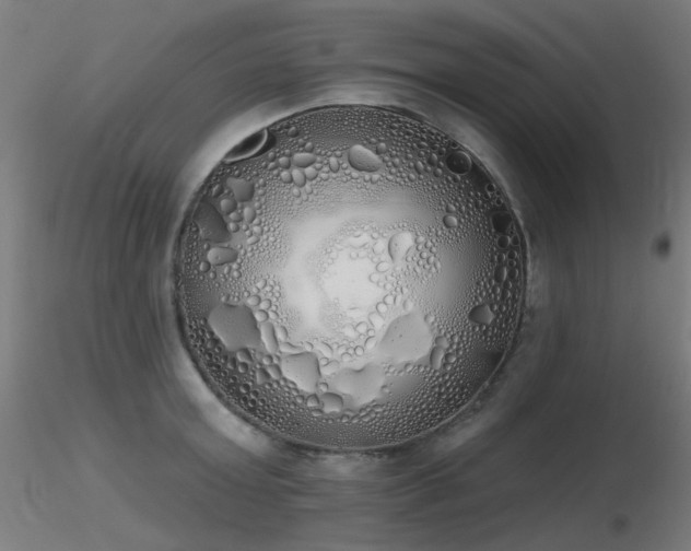 X0000116830803200912181433