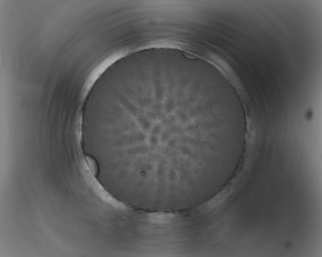 X0000116830804200912181433