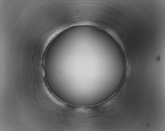 X0000116830805200912181433
