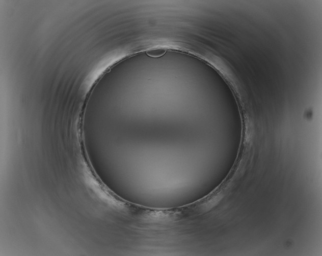 X0000116830806200912181433