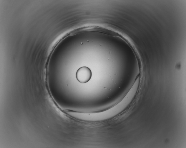 X0000116830807200912181433