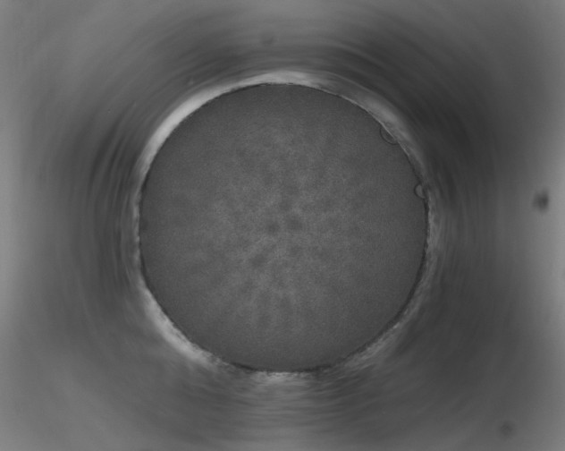 X0000116830808200912181433