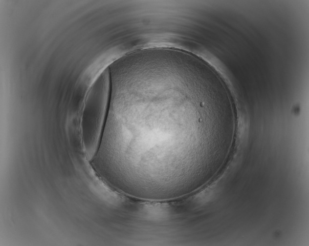 X0000116830809200912181433