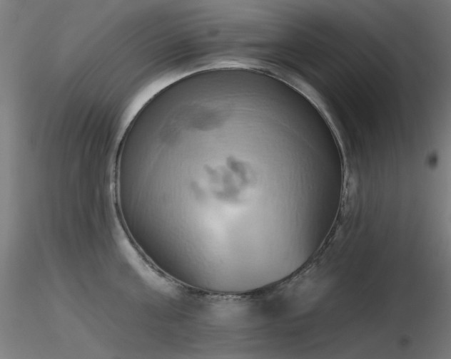 X0000116830811200912181433