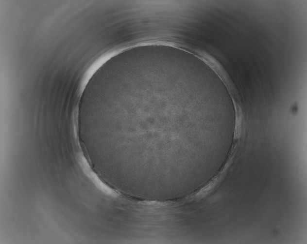X0000116830812200912181433