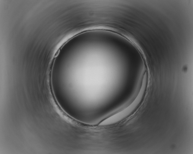 X0000116830813200912181433