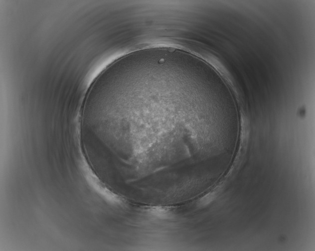 X0000116830814200912181433