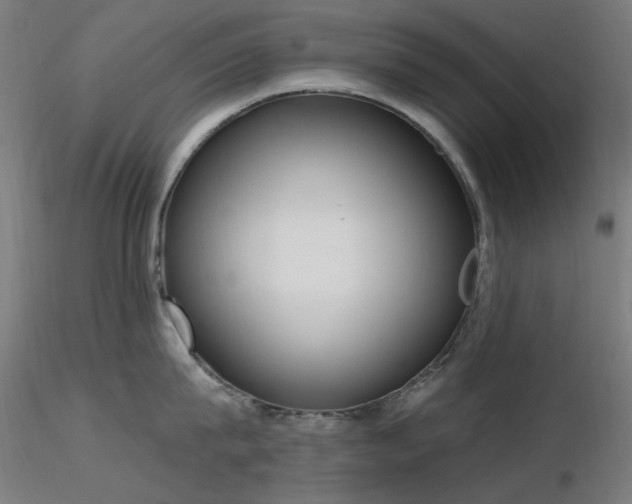 X0000116830815200912181432