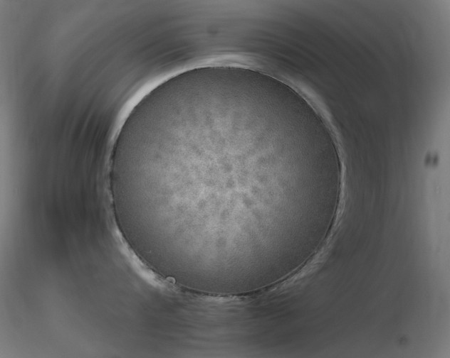 X0000116830816200912181432