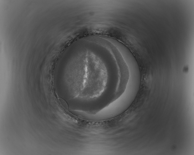 X0000116830817200912181432