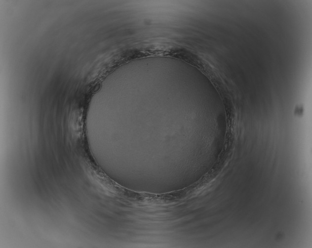 X0000116830818200912181432