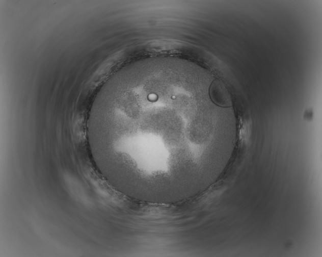 X0000116830819200912181432