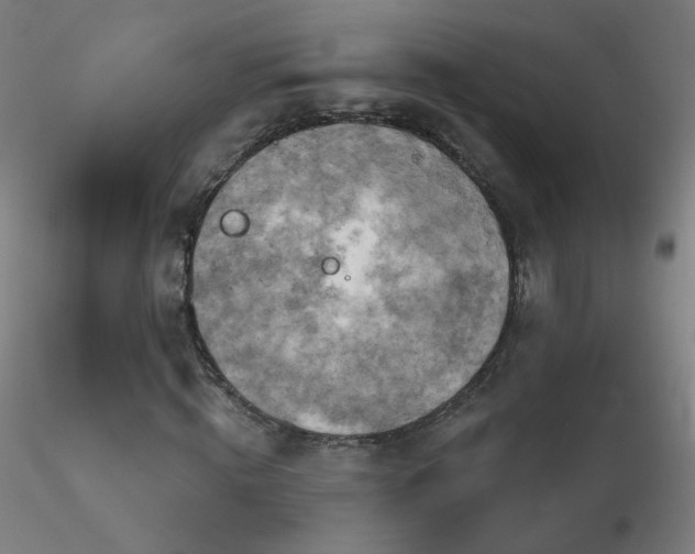 X0000116830820200912181432