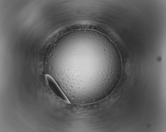 X0000116830821200912181432