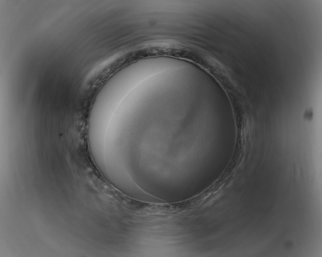 X0000116830822200912181432