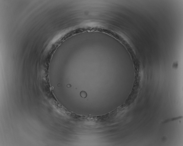 X0000116830823200912181432