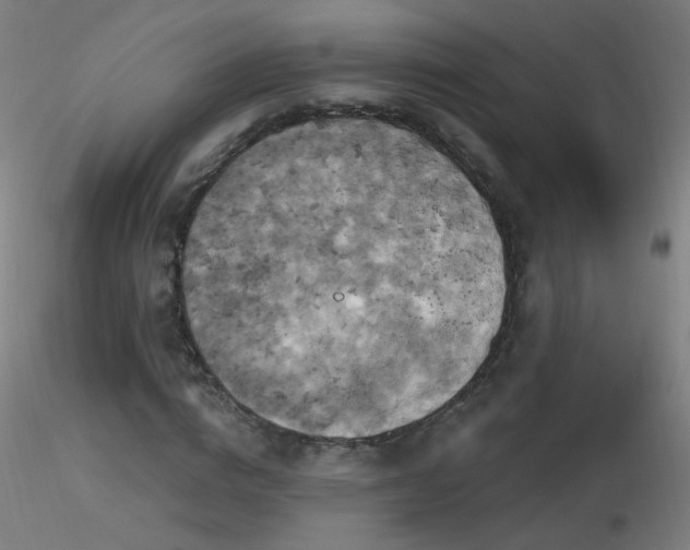 X0000116830824200912181432