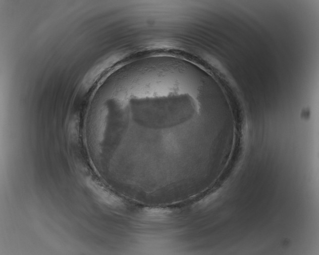 X0000116830825200912181432