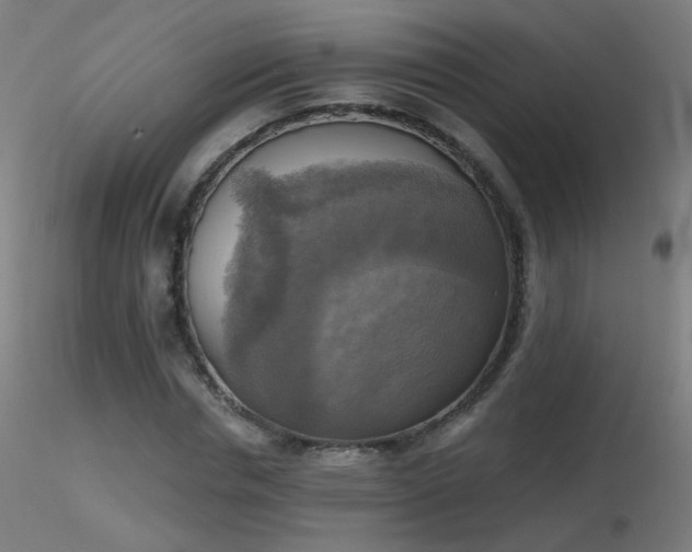 X0000116830826200912181432