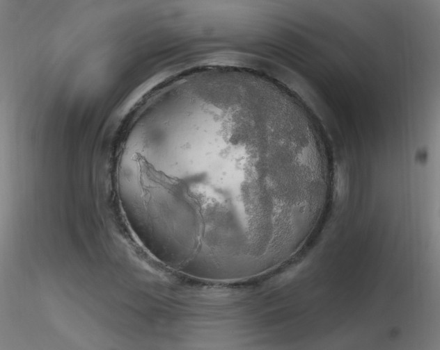X0000116830829200912181432