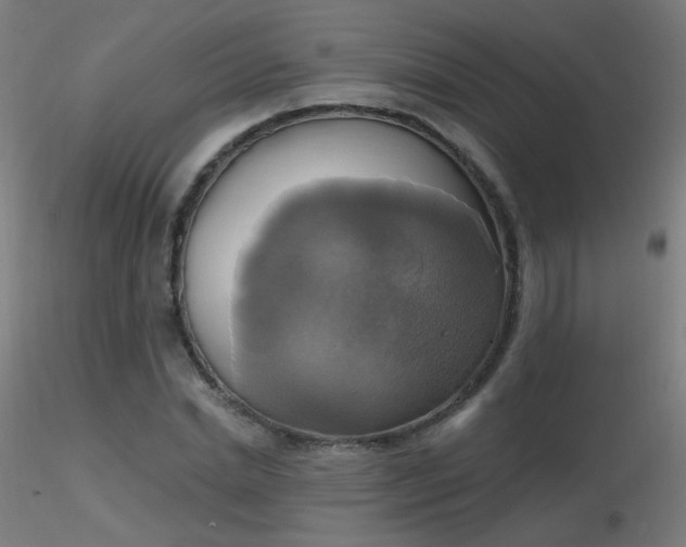 X0000116830830200912181432