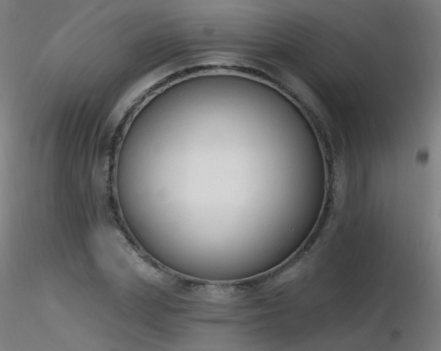 X0000116830831200912181432