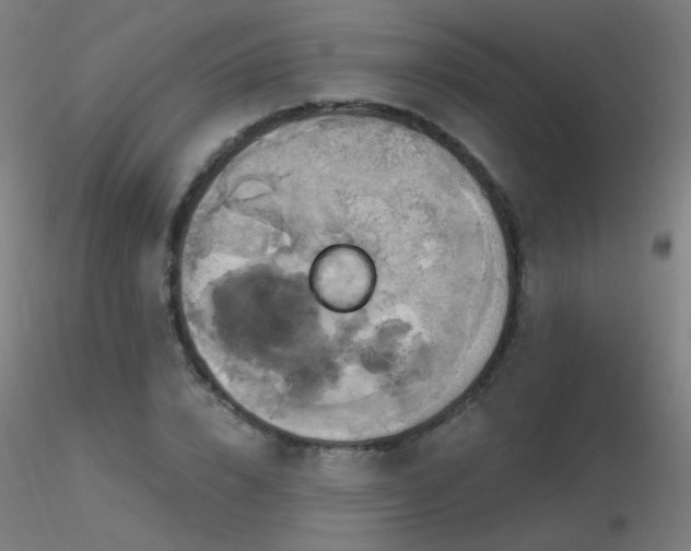 X0000116830832200912181432