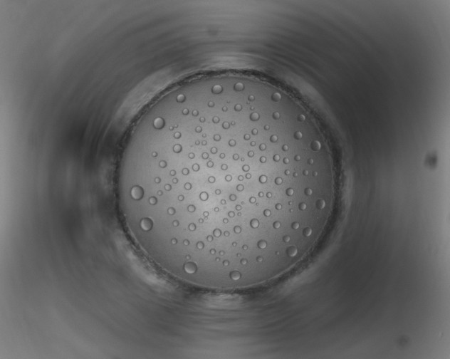 X0000116830833200912181432