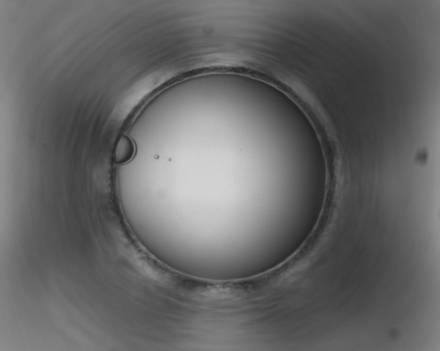 X0000116830834200912181432