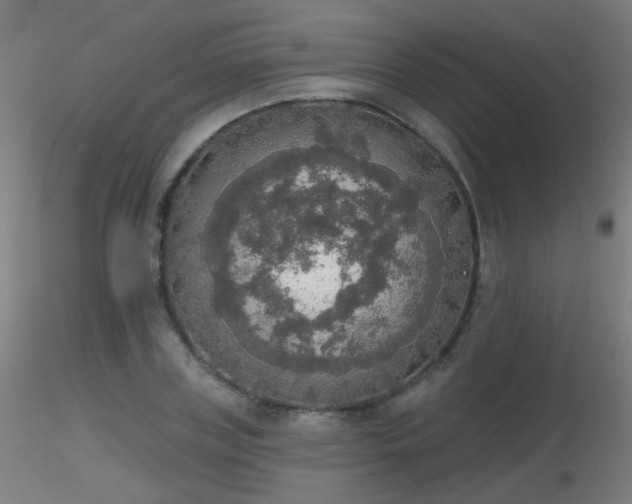 X0000116830835200912181432
