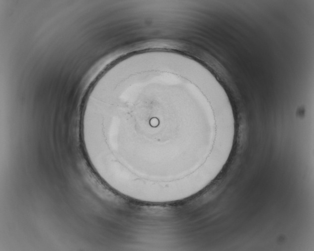 X0000116830836200912181432