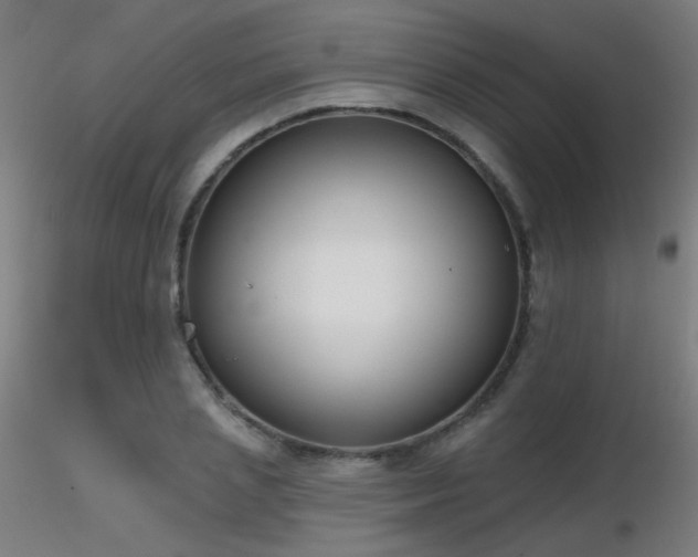 X0000116830837200912181432