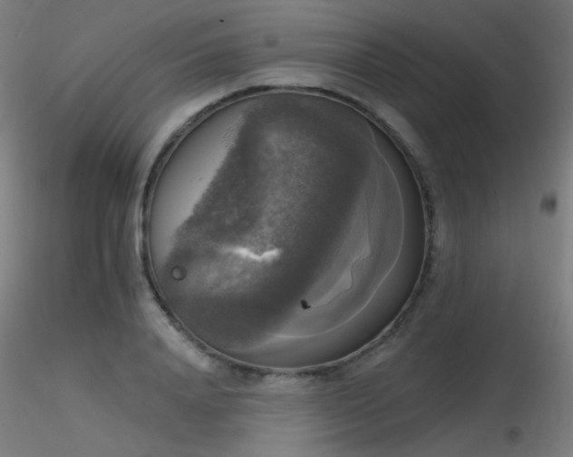 X0000116830840200912181432