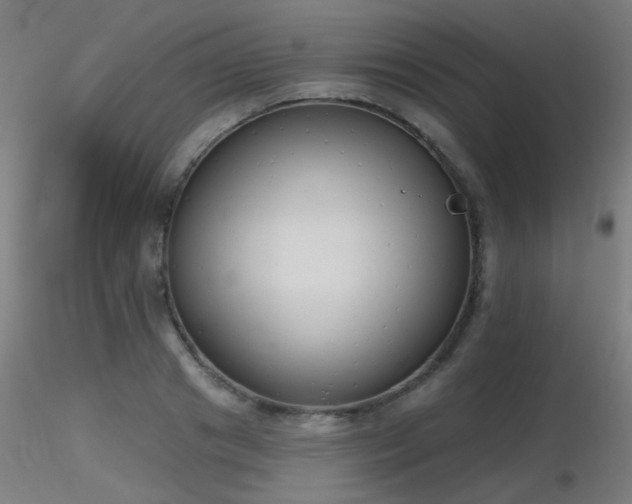 X0000116830841200912181432