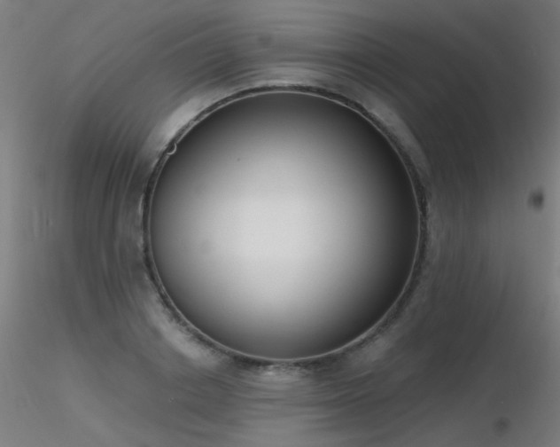 X0000116830842200912181432