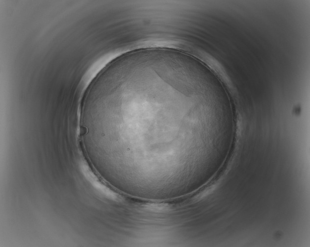 X0000116830844200912181432