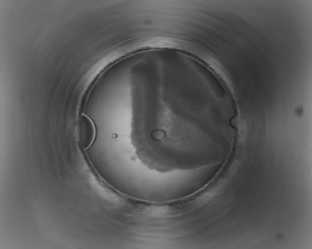 X0000116830845200912181432