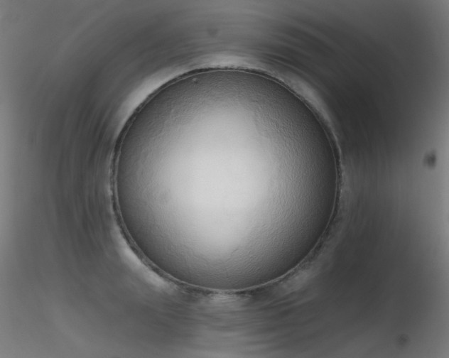 X0000116830847200912181432