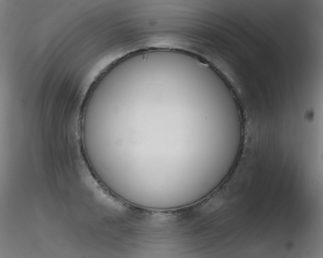 X0000116830848200912181432