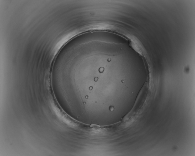 X0000116830850200912181432